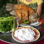 Im Mekong Delta kann man hervorragenden, fangfrischen Fisch essen