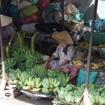 Bananen gehören sicherlich in Vietnam zu den populäreren Früchten